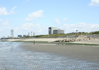 検見川浜の画像